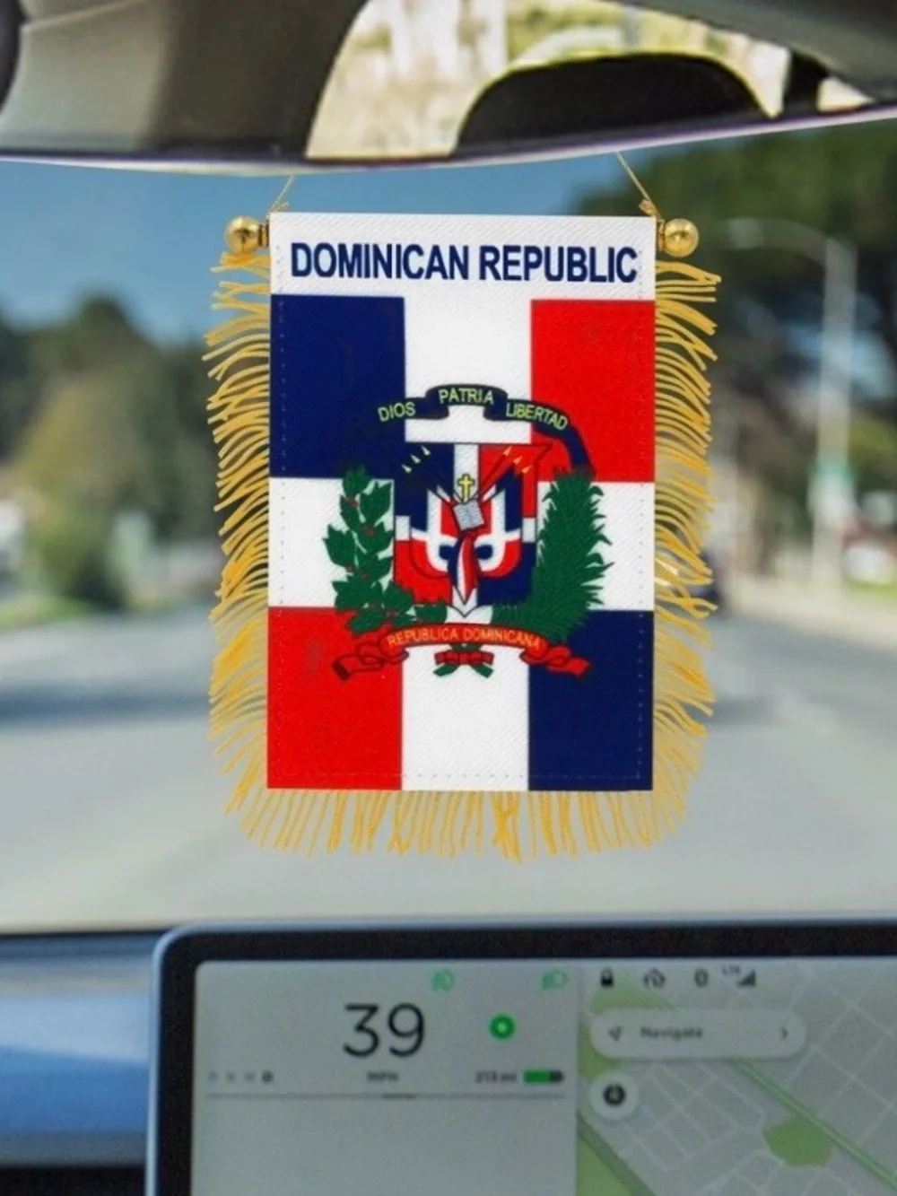 Dominican Republic Mini Flag Banner 4